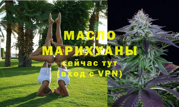 мдпв Бородино